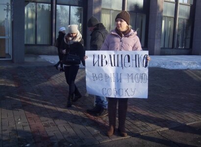 Зоозащитников обвинили в краже и кастрировании среднеазиатских овчарок (ФОТО)