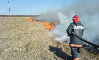 В Кривом Роге за семь дней восемь раз горела сухая трава