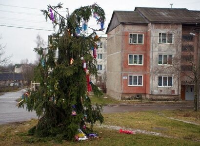 Топ восемь елок от читателей Палаты №210 (Фото/Видео)